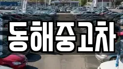 동해중고차