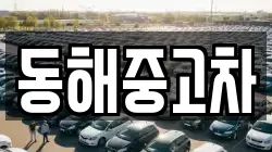 동해중고차