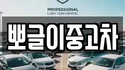 강원특별자치도 삼척시 가곡면 렌트카,단기렌트카,장기렌트카,중고차,중고차매매,중고차매입
