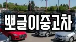 강원특별자치도 삼척시 근산동 렌트카,단기렌트카,장기렌트카,중고차,중고차매매,중고차매입