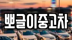 뽀글이중고차