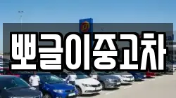 강원특별자치도 삼척시 도경동 렌트카,단기렌트카,장기렌트카,중고차,중고차매매,중고차매입