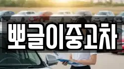 뽀글이중고차