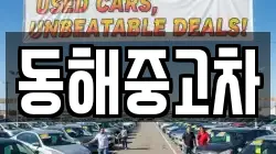 동해중고차