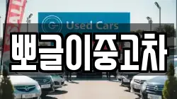 뽀글이중고차