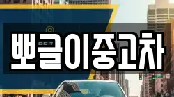 강원특별자치도 삼척시 미로면 렌트카,단기렌트카,장기렌트카,중고차,중고차매매,중고차매입
