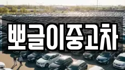 뽀글이중고차