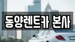 강원특별자치도 삼척시 성북동 렌트카,단기렌트카,장기렌트카,중고차,중고차매매,중고차매입