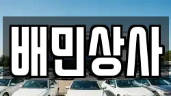 배민상사