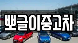뽀글이중고차
