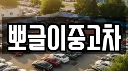 뽀글이중고차