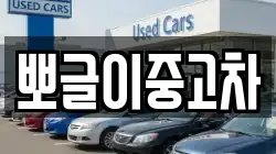 뽀글이중고차