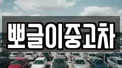 뽀글이중고차