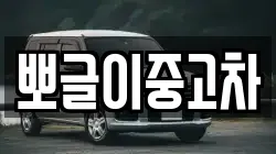 강원특별자치도 삼척시 하장면 렌트카,단기렌트카,장기렌트카,중고차,중고차매매,중고차매입