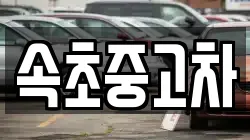 속초중고차