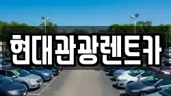 강원특별자치도 속초시 금호동 렌트카,단기렌트카,장기렌트카,중고차,중고차매매,중고차매입