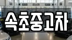 속초중고차
