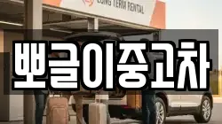 뽀글이중고차