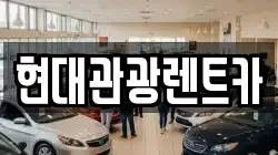 강원특별자치도 속초시 대포동 렌트카,단기렌트카,장기렌트카,중고차,중고차매매,중고차매입