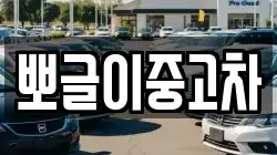 뽀글이중고차