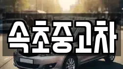 속초중고차