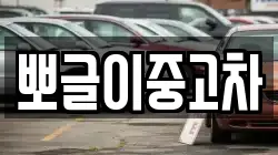 뽀글이중고차