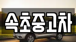 속초중고차
