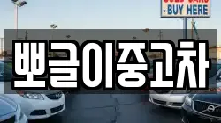 뽀글이중고차