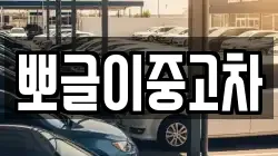 뽀글이중고차