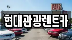 강원특별자치도 속초시 조양동 렌트카,단기렌트카,장기렌트카,중고차,중고차매매,중고차매입