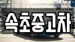 속초중고차