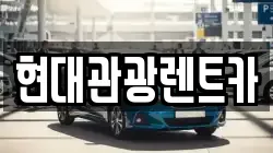 강원특별자치도 속초시 렌트카,단기렌트카,장기렌트카,중고차,중고차매매,중고차매입