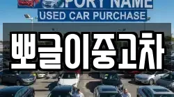 뽀글이중고차