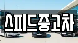 강원특별자치도 양양군 강현면 렌트카,단기렌트카,장기렌트카,중고차,중고차매매,중고차매입