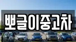 뽀글이중고차