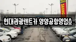 강원특별자치도 양양군 손양면 렌트카,단기렌트카,장기렌트카,중고차,중고차매매,중고차매입