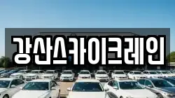 강산스카이크레인