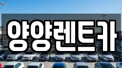 강원특별자치도 렌트카,단기렌트카,장기렌트카,중고차,중고차매매,중고차매입