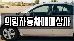 의림자동차매매상사