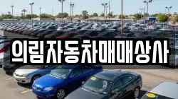 강원특별자치도 영월군 상동읍 렌트카,단기렌트카,장기렌트카,중고차,중고차매매,중고차매입
