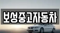보성중고자동차