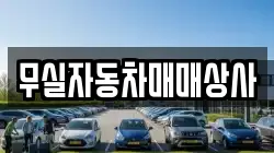 무실자동차매매상사