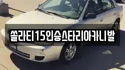 쏠라티15인승스타리아카니발