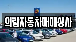 의림자동차매매상사