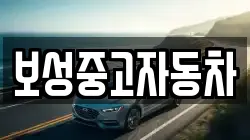 보성중고자동차