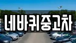 네바퀴중고차