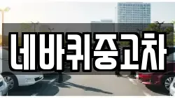 네바퀴중고차