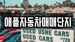 애플자동차매매단지