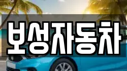 보성자동차