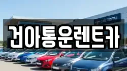 강원특별자치도 정선군 렌트카,단기렌트카,장기렌트카,중고차,중고차매매,중고차매입